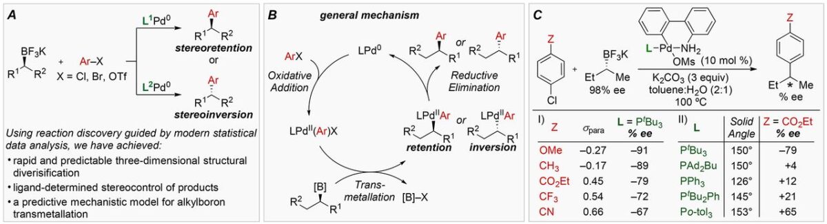 enantiodivergent suzuki reactions