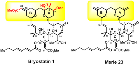 bryostatin 1 and merle 23