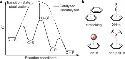 nci 1